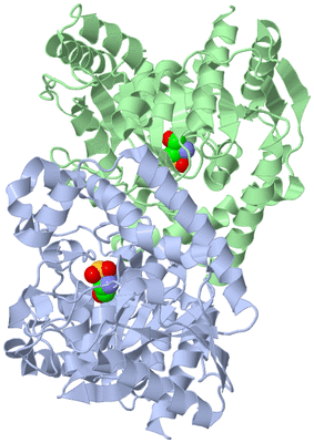 Image Asym./Biol. Unit