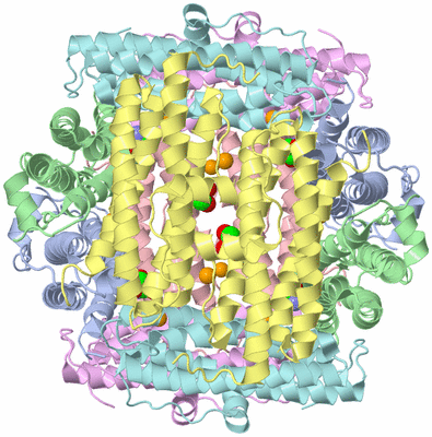 Image Biological Unit 1