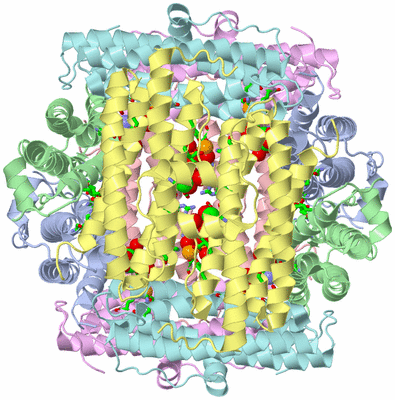 Image Biol. Unit 1 - sites