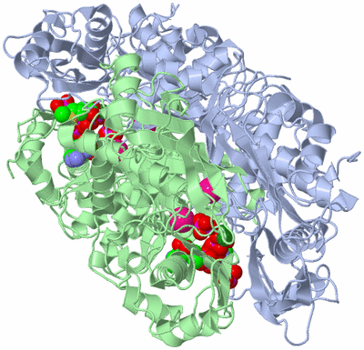 Image Biological Unit 1