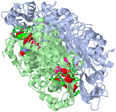 Image Biol. Unit 1 - sites