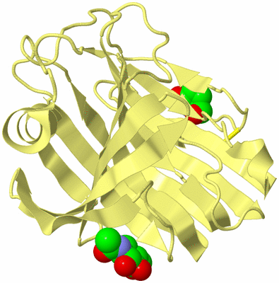 Image Biological Unit 4