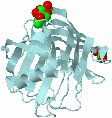 Image Biological Unit 6