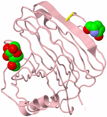 Image Biological Unit 3