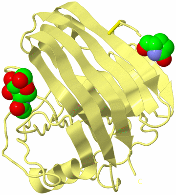 Image Biological Unit 4