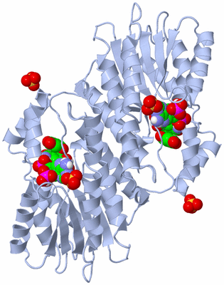 Image Biological Unit 1