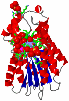 Image Asym. Unit - sites