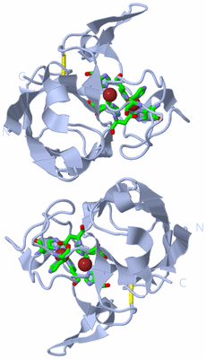 Image Biol. Unit 1 - sites