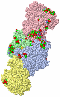 Image Asym./Biol. Unit - sites