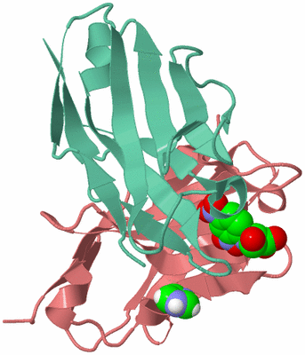 Image Biological Unit 1