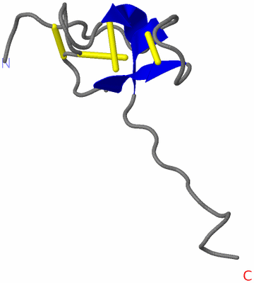 Image NMR Structure - model 1