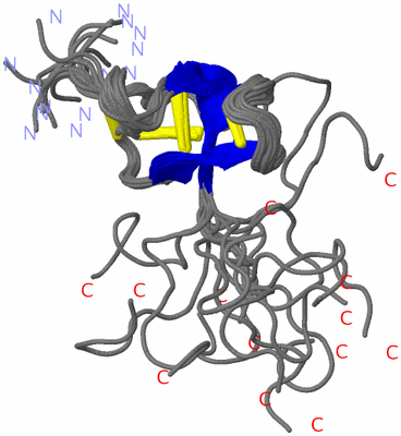 Image NMR Structure - all models