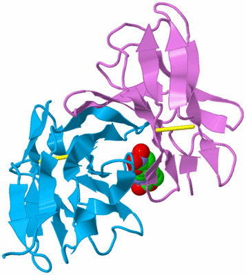 Image Biological Unit 3