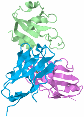 Image Biological Unit 2