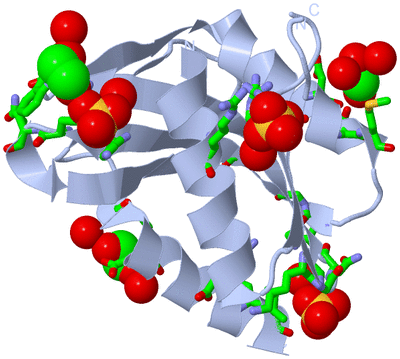 Image Biol. Unit 1 - sites