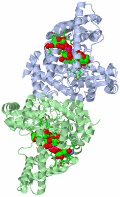 Image Asym./Biol. Unit - sites