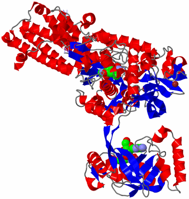 Image Asym./Biol. Unit