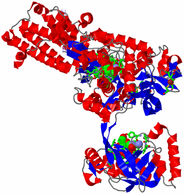 Image Asym./Biol. Unit - sites