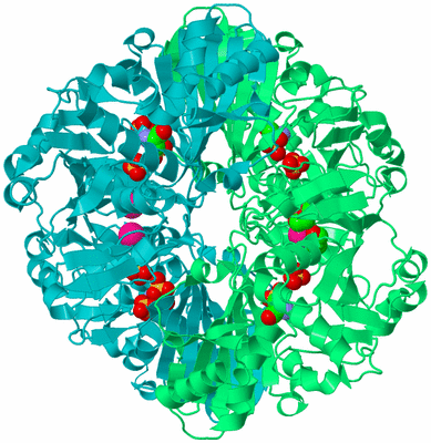 Image Biological Unit 1