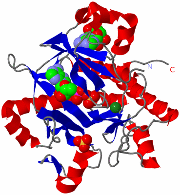 Image Asym./Biol. Unit