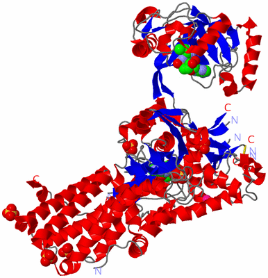 Image Asym./Biol. Unit