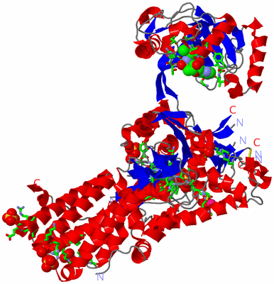 Image Asym./Biol. Unit - sites