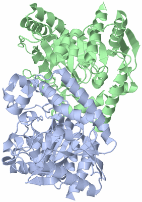 Image Asym./Biol. Unit