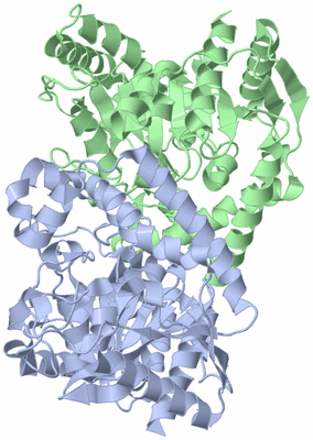 Image Asym./Biol. Unit