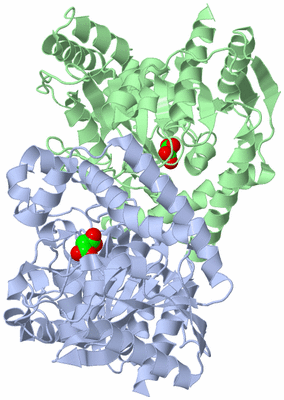 Image Asym./Biol. Unit