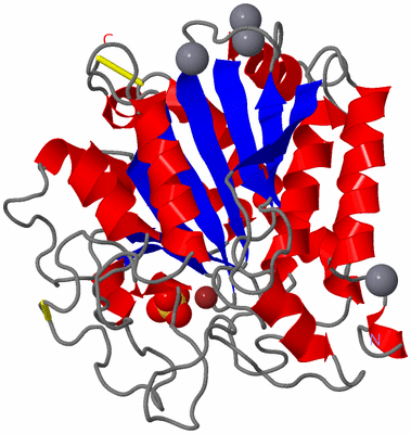 Image Asym./Biol. Unit