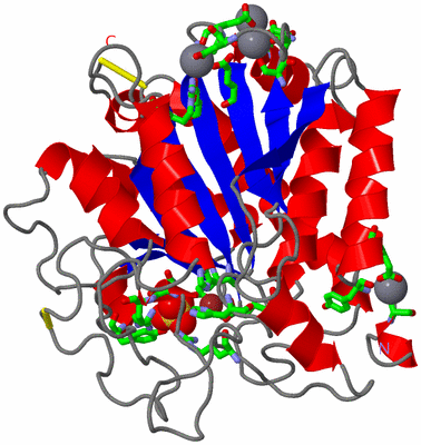 Image Asym./Biol. Unit - sites