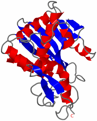 Image Asymmetric Unit