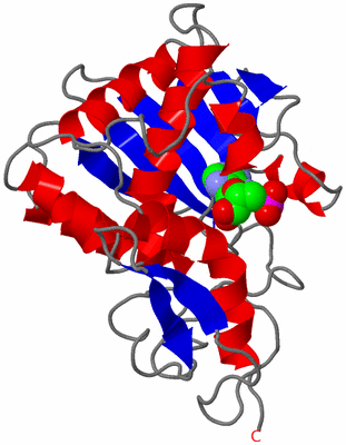 Image Asymmetric Unit