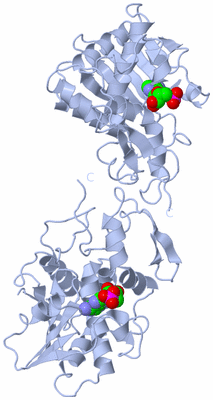 Image Biological Unit 1