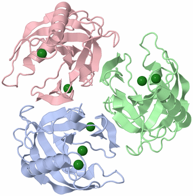 Image Asymmetric Unit