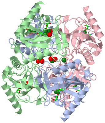 Image Biol. Unit 1 - sites