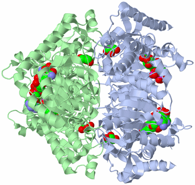 Image Biological Unit 1