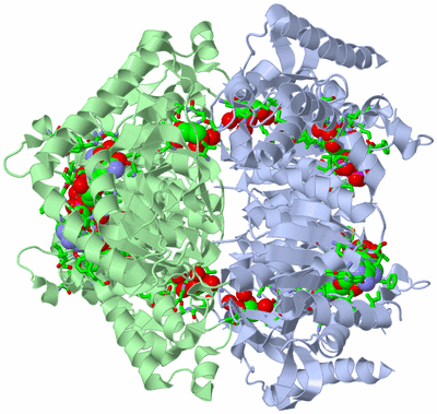 Image Biol. Unit 1 - sites