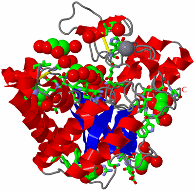 Image Asym./Biol. Unit - sites