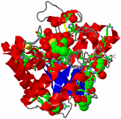 Image Asym./Biol. Unit - sites