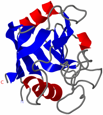 Image NMR Structure - model 1