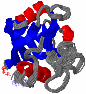 Image NMR Structure - all models