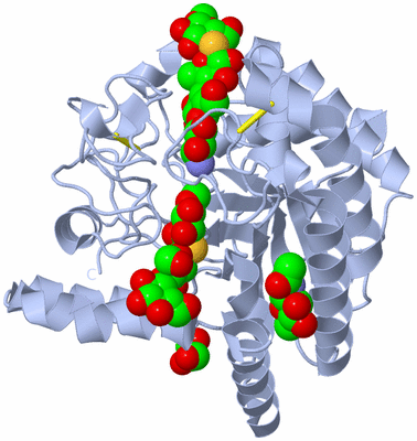 Image Biological Unit 1