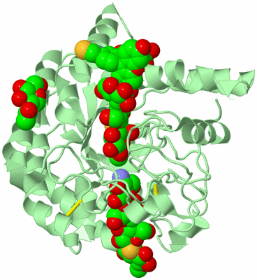 Image Biological Unit 2