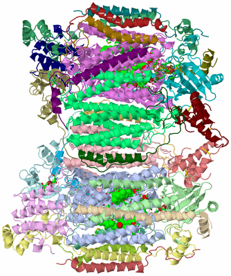 Image Asym./Biol. Unit - sites