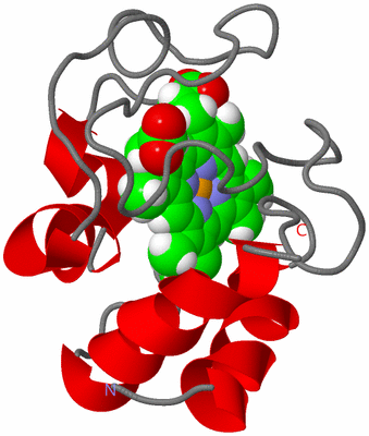 Image NMR Structure - model 1