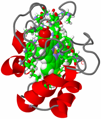 Image NMR Structure - model 1, sites