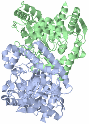 Image Asym./Biol. Unit