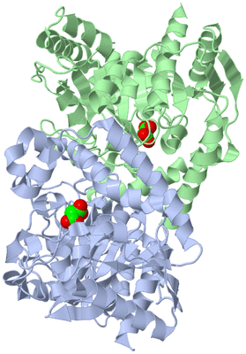 Image Asym./Biol. Unit