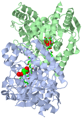 Image Asym./Biol. Unit - sites